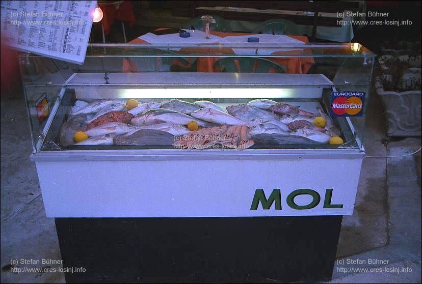 frischer Fisch der Gastst�tte Konoba Mol im Hafen Rovenska bei Veli Losinj